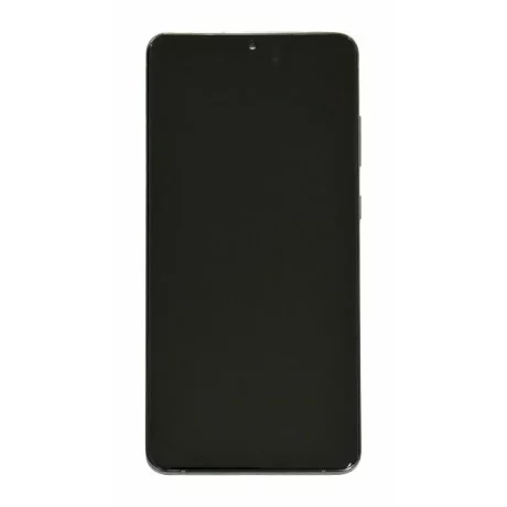 Ecran Samsung G988 Galaxy S20 Ultra Cosmic Grey (Gri) Fara Camera Frontala (Service Pack)