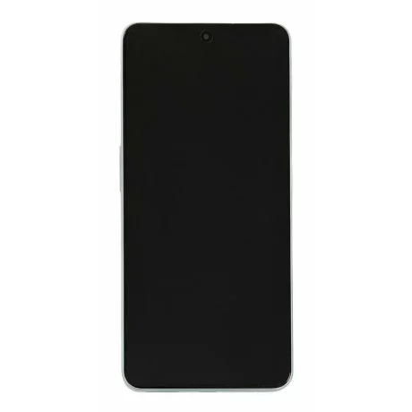 Ecran OnePlus Nord 3 5G Misty Green (Service Pack)